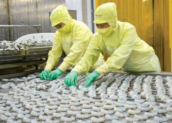 Nền kinh tế thị trường cho Việt Nam chỉ là thời gian