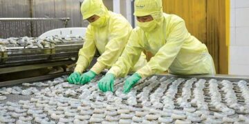 Nền kinh tế thị trường cho Việt Nam chỉ là thời gian