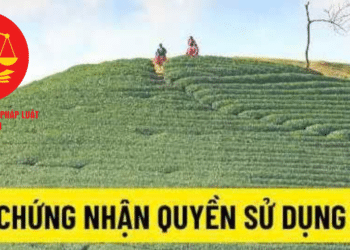 Trung tâm tư vấn pháp luật Minh Sơn : Những trường hợp làm sổ đỏ không phải nộp tiền sử dụng đất – Điều kiện để đất lấn chiếm, vi phạm pháp luật được xem xét cấp sổ đỏ