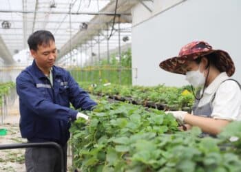Nghị quyết 143/NQ-CP: Lực đẩy quan trọng cho doanh nghiệp phục hồi sau bão lũ