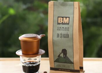 Trách nhiệm xã hội của Công ty BM Group trong ngành sản xuất cà phê bền vững