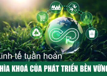 Việt Nam cần xây dựng hệ thống chính sách toàn diện, linh hoạt trong phát triển kinh tế tuần hoàn