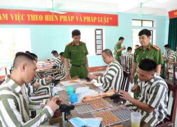 Nghị định mới quy định chi tiết thi hành một số điều của Luật Thi hành án hình sự