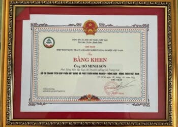 Ông Hồ Minh Sơn được Hiệp hội  VFAEA tôn vinh góp phần xây dựng, phát triển “Nông nghiệp – nông dân – nông thôn” năm 2024