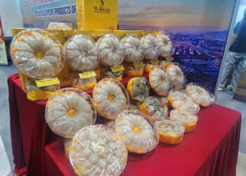 Bình Định đưa đặc sản đất võ đến với Hội chợ Hàng Việt Nam tiêu biểu xuất khẩu 2025