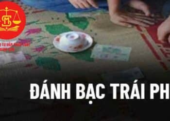 Trung tâm tư vấn pháp luật Minh Sơn: Người dưới 16 tuổi lừa đảo chiếm đoạt tài sản – Hành vi đánh bạc bị xử lý hình sự trong trường hợp nào?