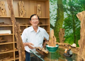 Doanh nhân Mai Quốc Thái: “Giâm cành” kỹ thuật nhân giống khó trong bảo tồn trầm hương