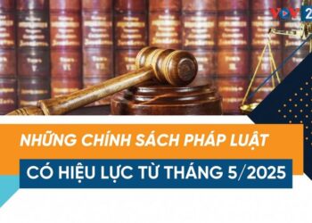 Chính sách pháp luật có hiệu lực từ tháng 5/2025