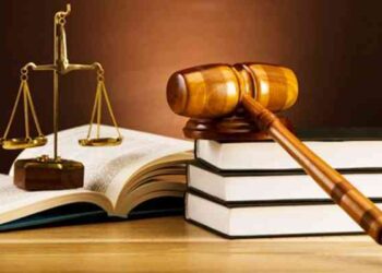 Mức xử phạt người sản xuất, buôn bán hàng giả là thức ăn dùng để chăn nuôi, phân bón, thuốc thú y