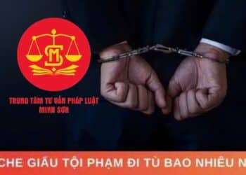Bước tiến quan trọng về chính sách hình sự với hình phạt ‘tù chung thân không xét giảm án’ và yếu tố pháp lý liên quan hành vi che giấu tội phạm