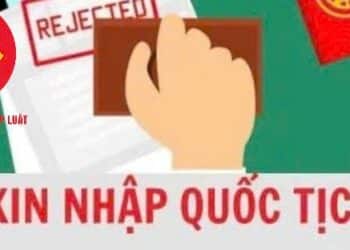 Trung tâm tư vấn pháp luật Minh Sơn: Cấp thẻ căn cước với người ở nước ngoài; có hộ chiếu,nơi sinh tại Việt Nam – Từng thôi quốc tịch, giờ xin nhập lại được không?