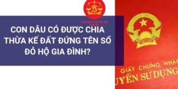 Trung tâm tư vấn pháp luật Minh Sơn: Sổ đỏ, con dâu từng góp tiền sửa nhà có được chia thừa kế không – Những đối tượng nào phải có chứng chỉ hành nghề đấu thầu?