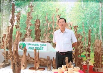 Trầm hương Mai Quốc góp phần phát triển nền nông nghiệp đô thị và đặc trưng thông qua Lễ hội Sinh vật cảnh 2025