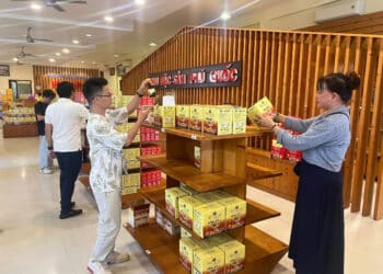 Thăm nhà thùng nước mắm nổi tiếng Phú Quốc – Hồng Đức 1 thương hiệu truyền đời hơn 130 năm