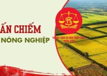 Trung tâm tư vấn pháp luật Minh Sơn: Luật Đất đai 2024 quy định đất lấn chiếm – Mua bán đất bằng hợp đồng ủy quyền, nhiều rủi ro pháp lý?