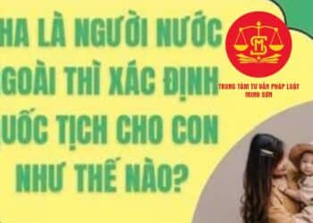 Trung tâm tư vấn pháp luật Minh Sơn: Cha người nước ngoài, mẹ người Việt Nam, con sinh ra sẽ mang quốc tịch nào – Làm thế nào để khai sinh cho con?