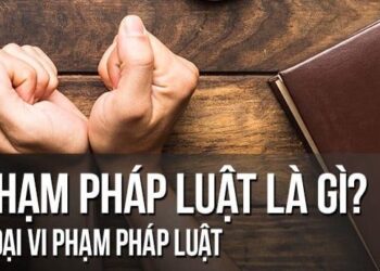 TS. Hồ Minh Sơn: Yếu tố pháp lý vụ dàn dựng clip có “cảnh nóng” trong xe Mercedes C300 và có thể đối mặt vòng lao lý khi nhặt được sổ đỏ ‘xin bồi dưỡng 10 triệu’?