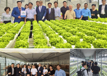 WVCEA: Bắc cầu nối để tình hữu nghị Việt – Hàn mãi xanh tươi