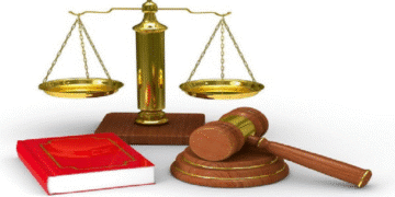 TS. Hồ Minh Sơn: Yếu tố pháp lý liên quan vụ đột nhập nhà dân, mắc kẹt ở lỗ thông gió và những tội danh có thể bị xử lý trong vụ ‘Chị Em Rọt’