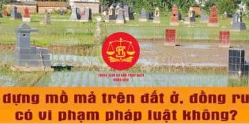 Trung tâm tư vấn pháp luật Minh Sơn: Có được xây mộ trên đất trồng lúa không – Chuyển nhượng đất chưa có sổ đỏ, có thể bị phạt nặng?