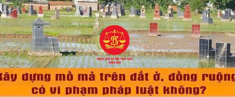 Trung tâm tư vấn pháp luật Minh Sơn: Có được xây mộ trên đất trồng lúa không – Chuyển nhượng đất chưa có sổ đỏ, có thể bị phạt nặng?