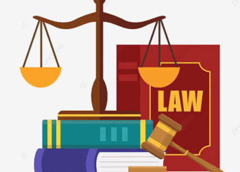 Ông Hồ Minh Sơn phân tích tình huống pháp lý về sự lệch chuẩn trên mạng xã hội và chủ vật nuôi để chó chạy rông xảy ra tai nạn giao thông