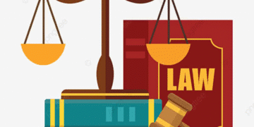 Ông Hồ Minh Sơn phân tích tình huống pháp lý về sự lệch chuẩn trên mạng xã hội và chủ vật nuôi để chó chạy rông xảy ra tai nạn giao thông