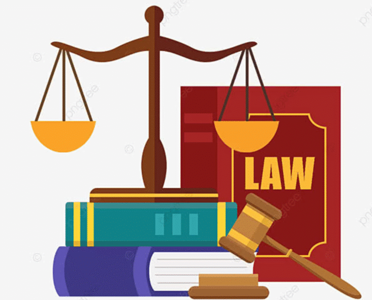 Ông Hồ Minh Sơn phân tích tình huống pháp lý về sự lệch chuẩn trên mạng xã hội và chủ vật nuôi để chó chạy rông xảy ra tai nạn giao thông