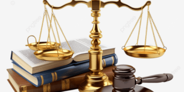 Tình huống pháp lý liên quan chủ nuôi và nhóm chuyên đào trộm heo bệnh đã tiêu hủy về bánnhư thế nào?