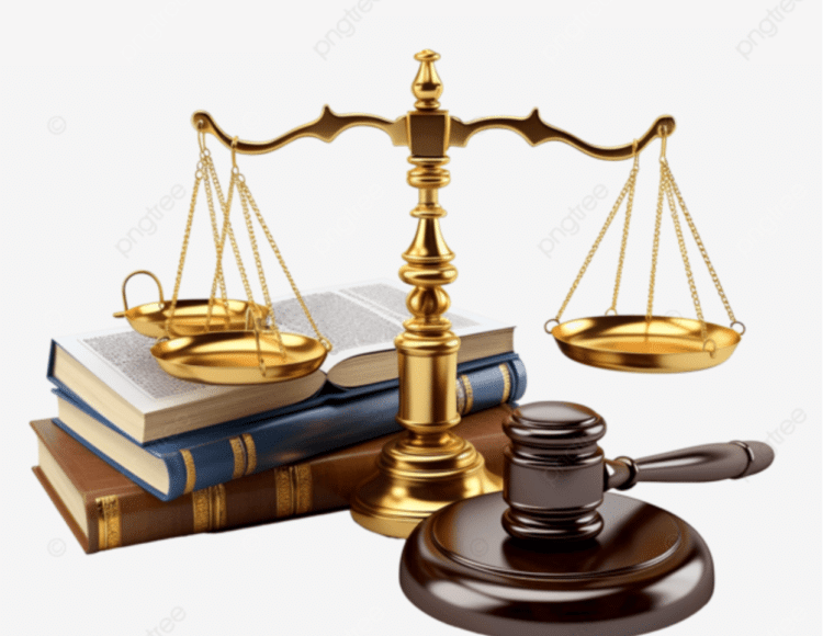 Tình huống pháp lý liên quan chủ nuôi và nhóm chuyên đào trộm heo bệnh đã tiêu hủy về bánnhư thế nào?