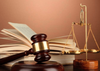 Tình huống pháp lý liên quan Long Phụng Khang và các đối tượng nhập lậu hàng nghìn tấn thịt động vật từ Châu Âu