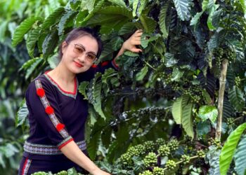 Khi người trẻ làm nông thế hệ mới, ứng dụng khoa học công nghệ và tư duy thương hiệu