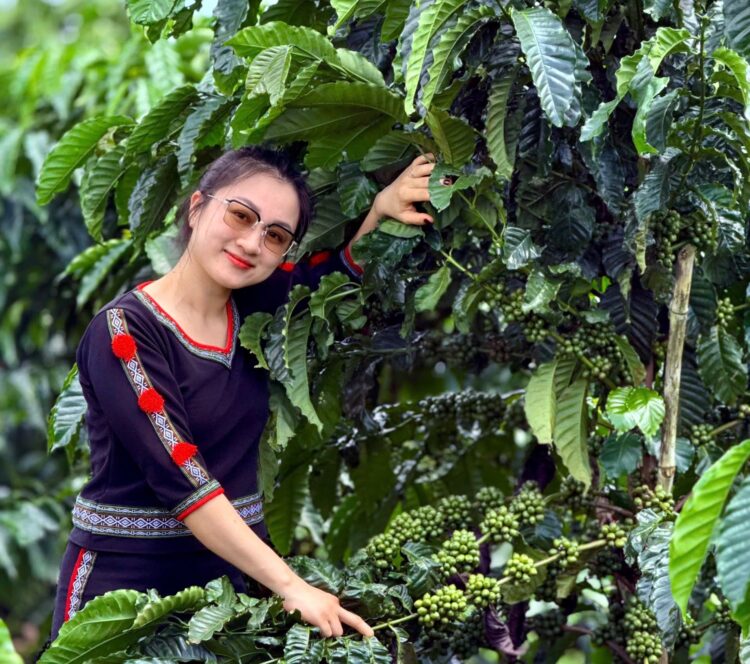 Khi người trẻ làm nông thế hệ mới, ứng dụng khoa học công nghệ và tư duy thương hiệu
