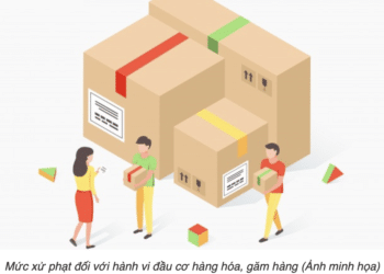 Trung tâm tư vấn pháp luật Minh Sơn tuyên truyền về Nghị định 98/2020/NĐ-CP và Thông tư số 39/2018/TT-BTC; Thông tư số 121/2025/TT-BTC