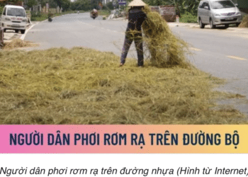 Trung tâm tư vấn pháp luật Minh Sơn tuyên truyền về Nghị định 168/2024/NĐ-CP và Nghị định số 81/2026/NĐ-CP cho người dân và CLB DN IMRIC – IRLIE