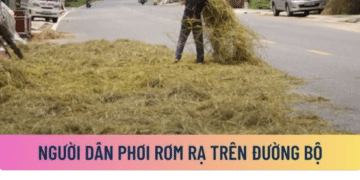 Trung tâm tư vấn pháp luật Minh Sơn tuyên truyền về Nghị định 168/2024/NĐ-CP và Nghị định số 81/2026/NĐ-CP cho người dân và CLB DN IMRIC – IRLIE