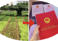 Trung tâm tư vấn pháp luật Minh Sơn tuyên truyền về Nghị quyết số 254/2025/QH15; Nghị định số 50/2026/NĐ-CP cho CLB DN IMRIC – IRLIE