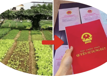 Trung tâm tư vấn pháp luật Minh Sơn tuyên truyền về Nghị quyết số 254/2025/QH15; Nghị định số 50/2026/NĐ-CP cho CLB DN IMRIC – IRLIE