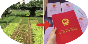 Trung tâm tư vấn pháp luật Minh Sơn tuyên truyền về Nghị quyết số 254/2025/QH15; Nghị định số 50/2026/NĐ-CP cho CLB DN IMRIC – IRLIE