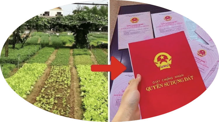 Trung tâm tư vấn pháp luật Minh Sơn tuyên truyền về Nghị quyết số 254/2025/QH15; Nghị định số 50/2026/NĐ-CP cho CLB DN IMRIC – IRLIE
