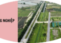 Trung tâm tư vấn pháp luật Minh Sơn trả lời thư của người dân và doanh nghiệp liên quan Luật Xử lý vi phạm hành chính năm 2012 và Luật Đất đai