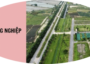 Trung tâm tư vấn pháp luật Minh Sơn trả lời thư của người dân và doanh nghiệp liên quan Luật Xử lý vi phạm hành chính năm 2012 và Luật Đất đai