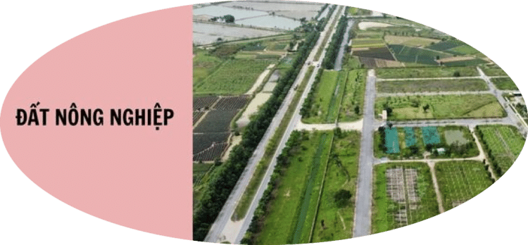 Trung tâm tư vấn pháp luật Minh Sơn trả lời thư của người dân và doanh nghiệp liên quan Luật Xử lý vi phạm hành chính năm 2012 và Luật Đất đai